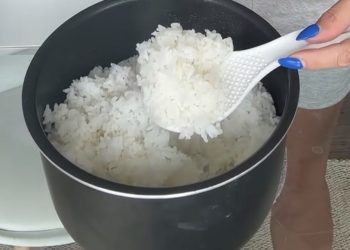 The Foundation of Every Meal: Rice