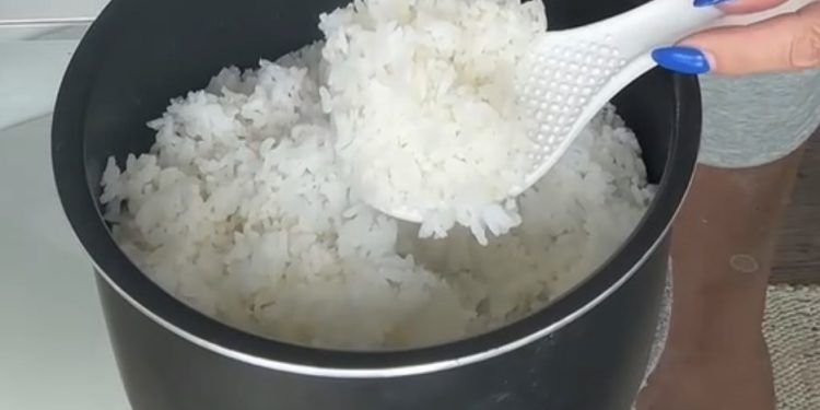 The Foundation of Every Meal: Rice