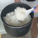 The Foundation of Every Meal: Rice